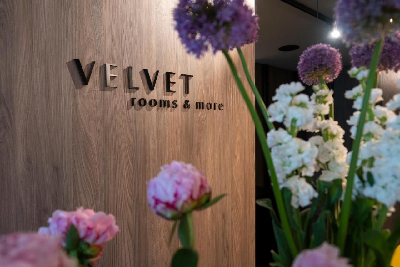 Velvet Rooms & More ザダル エクステリア 写真